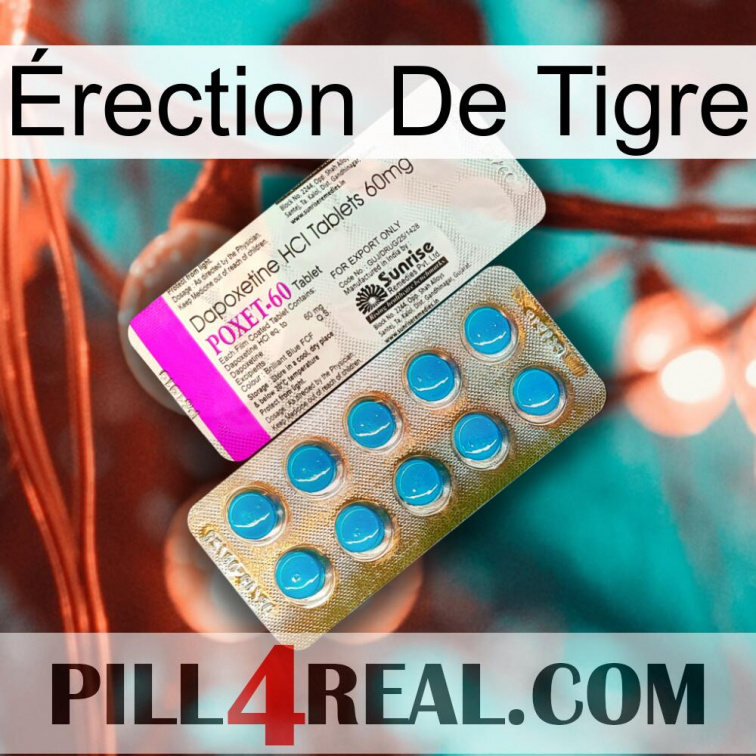Érection De Tigre new07